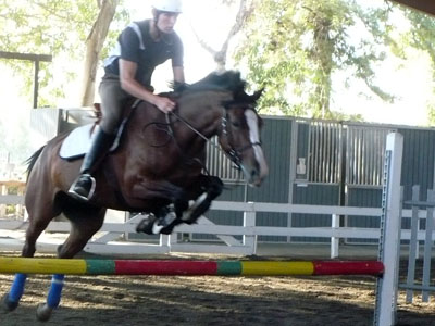 Sam Sacksen Show Jumping