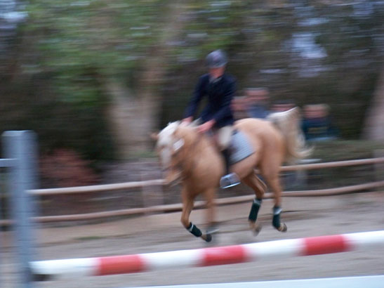 Andrew Jayne rides Goldie