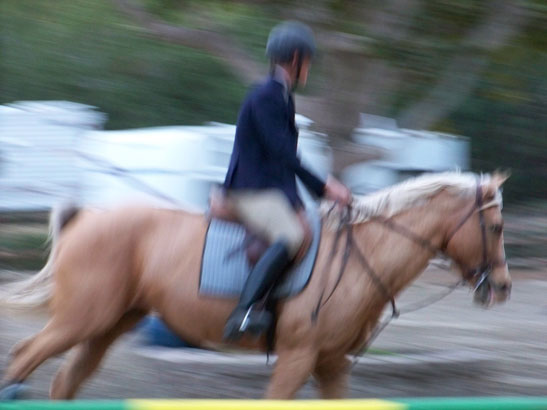 Andrew Jayne rides Goldie, ECI Youth A Pentathlon