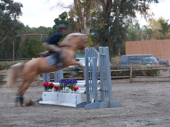 Andrew Jayne jumps Goldie
