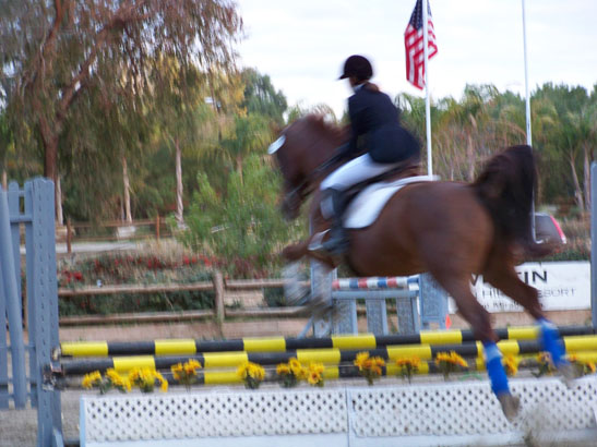 Pentathlete ECI riding phase